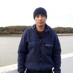 , 43 , 