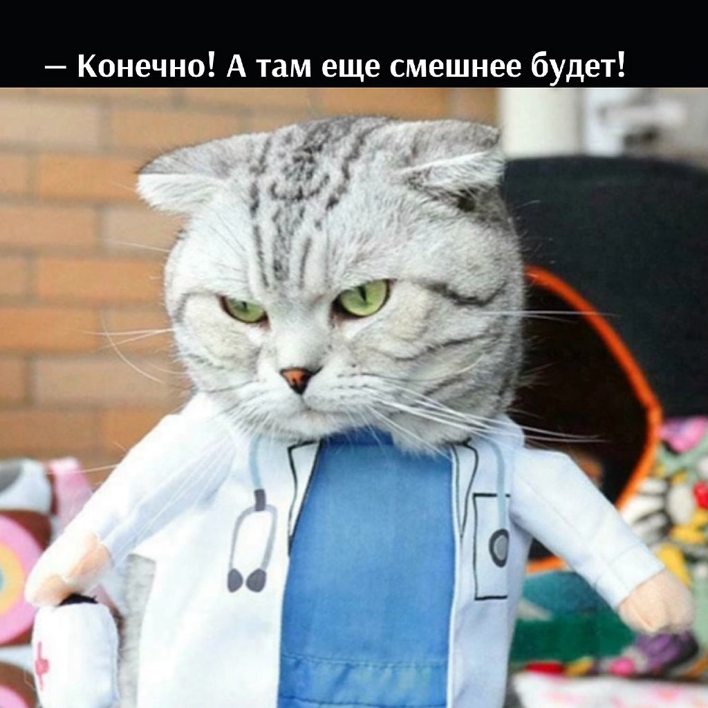 Кот в костюме доктора