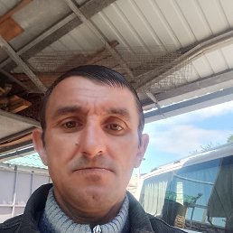 Vova, 41 , 