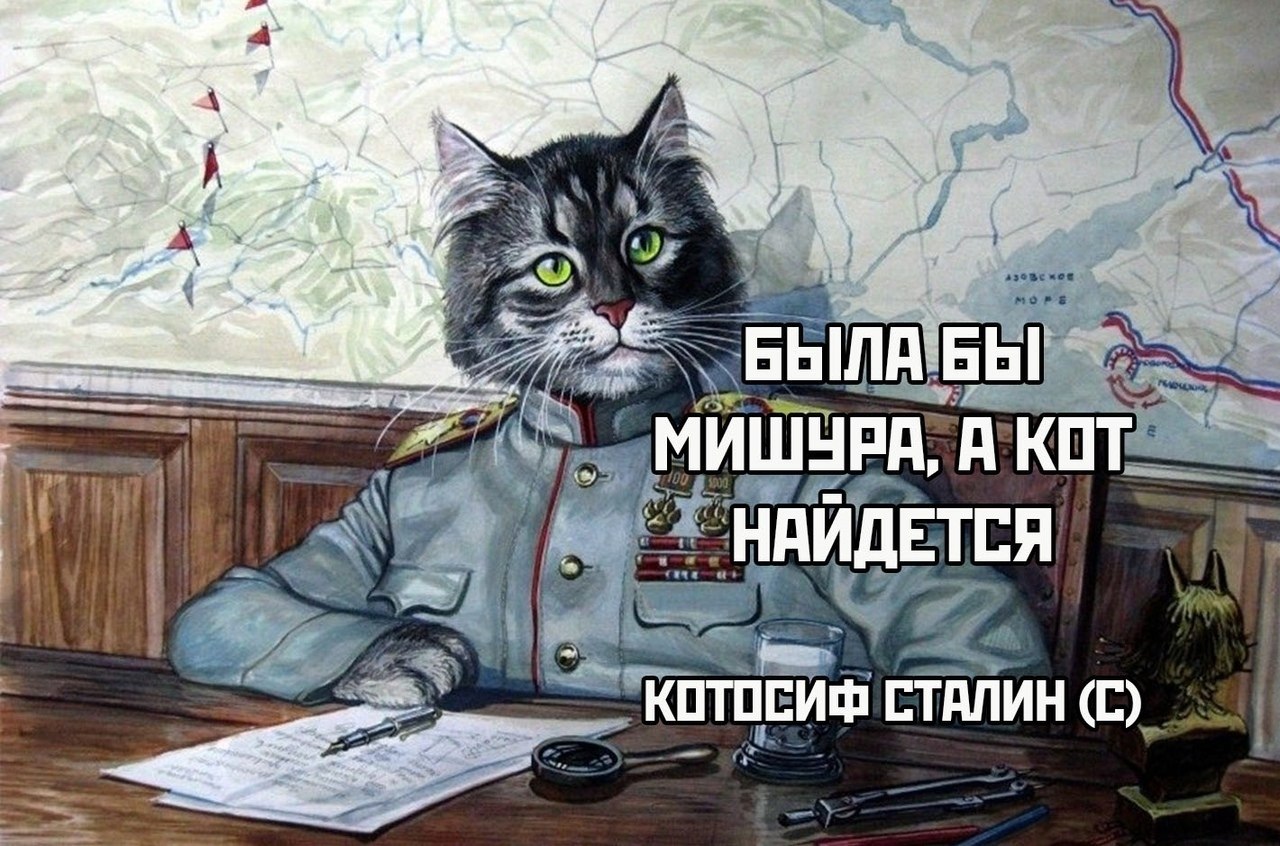 Кот сағаты