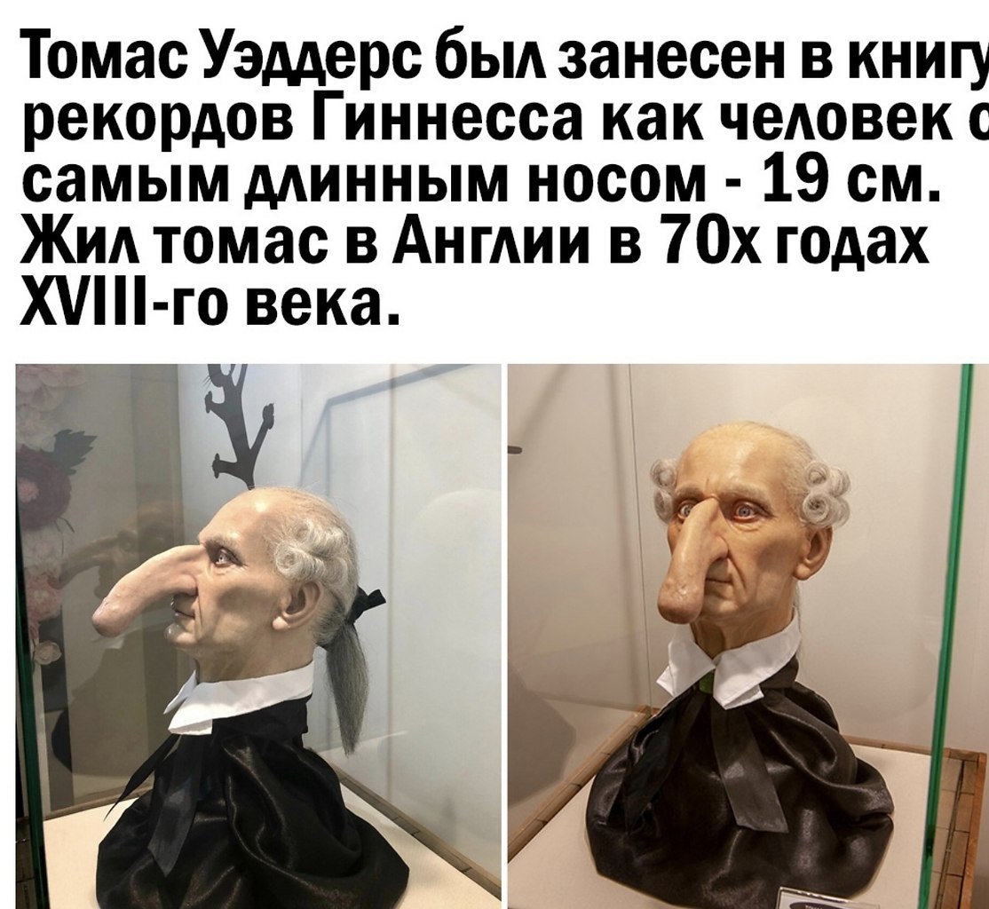 Сующие нос не в свои дела