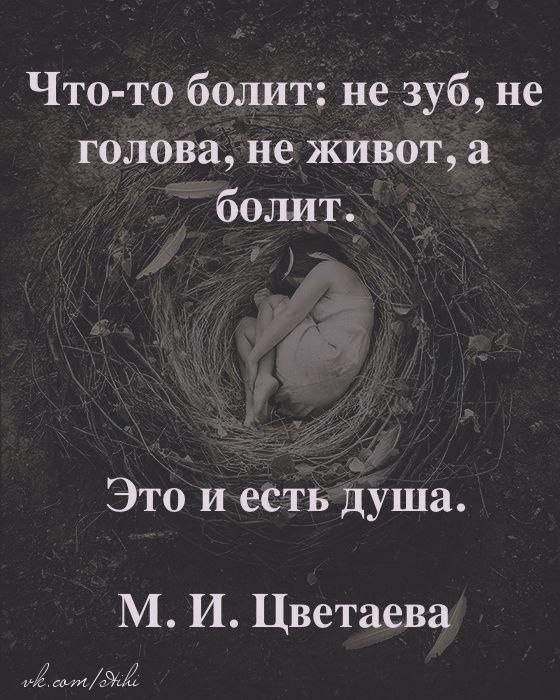 Жаль что нет такой таблетки когда болит душа картинки
