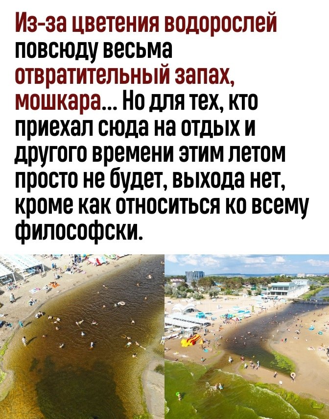 Анапа в августе отзывы море цветет