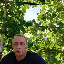 Леонид, 41 год, Москва