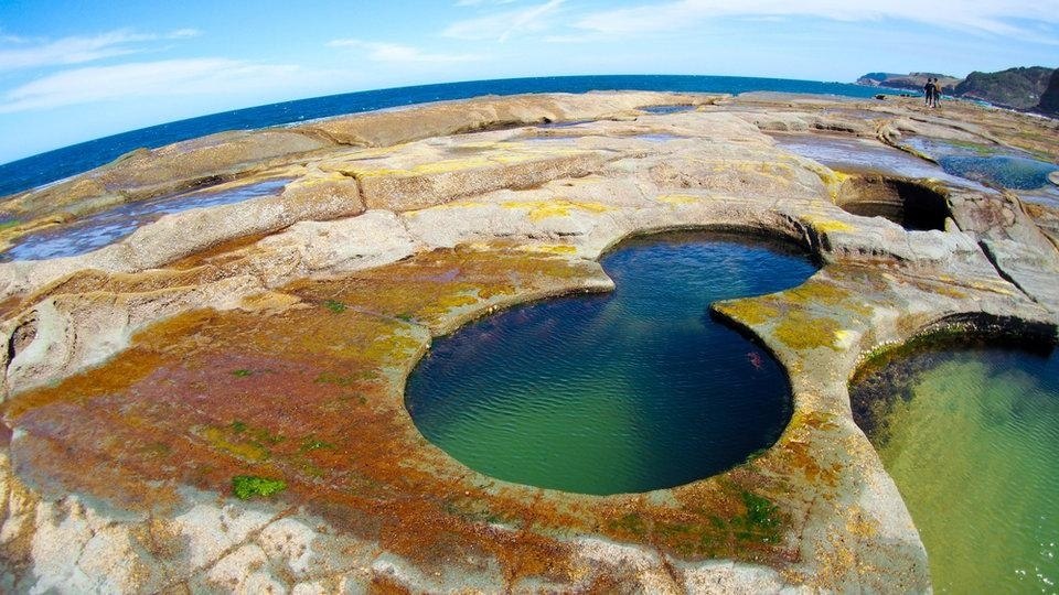 Unusual activities. Королевский национальный парк Австралия. Австралия Ройял парк. Figure 8 Pools, Королевский национальный парк (Австралия).. Royal National Park Australia побережье.