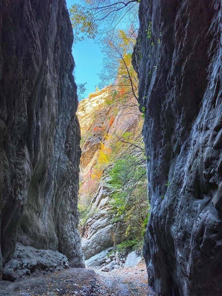 Карадахская теснина дагестан фото