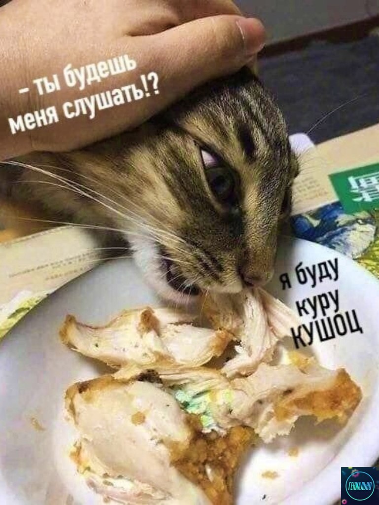 я сажусь за столик дальний никому