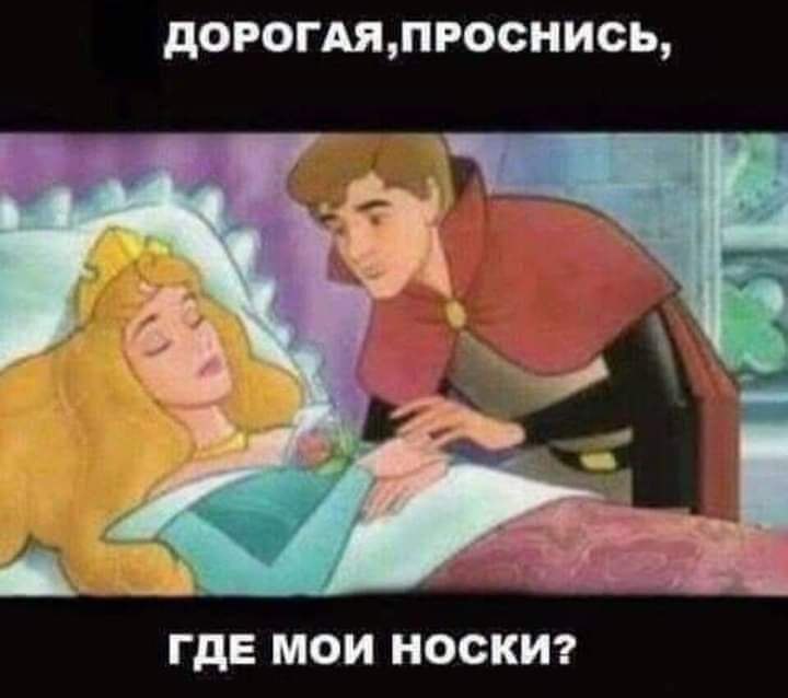 Дорогой вставай