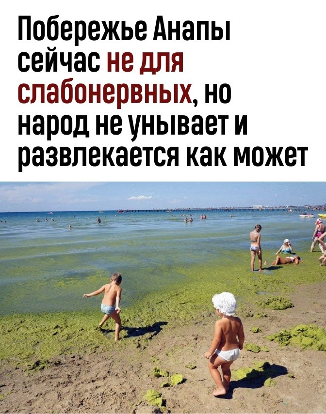 Анапа в августе отзывы море цветет