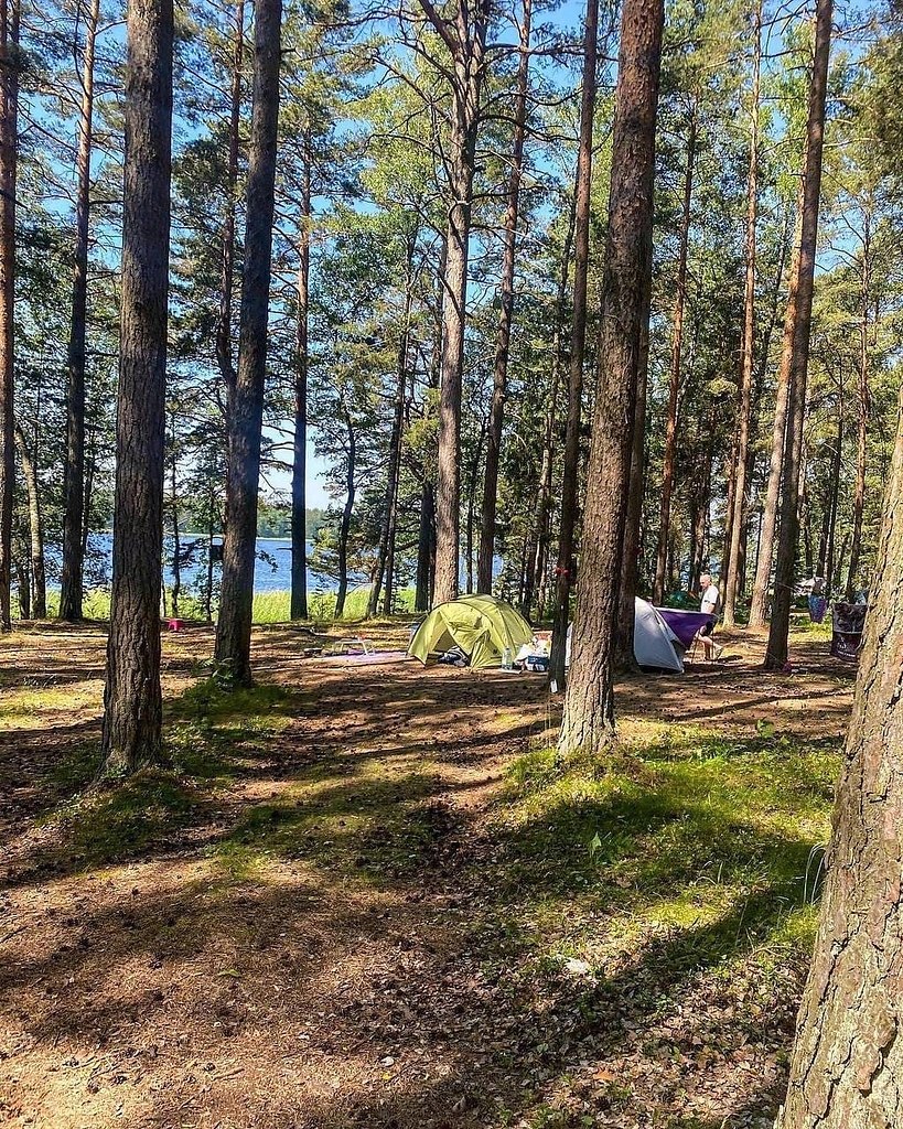 Липовское озеро в Ленинградской области