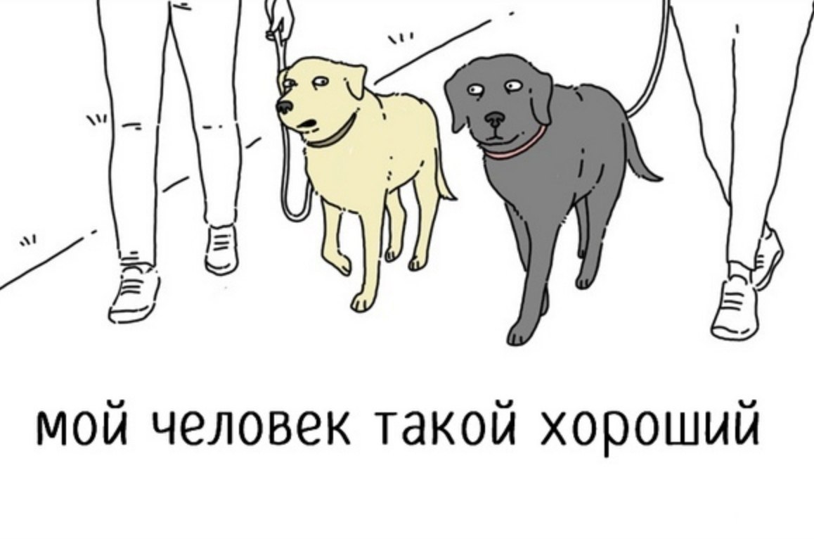 Dog перевод