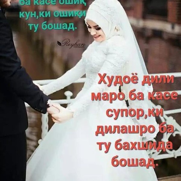 Картинки зики ошики