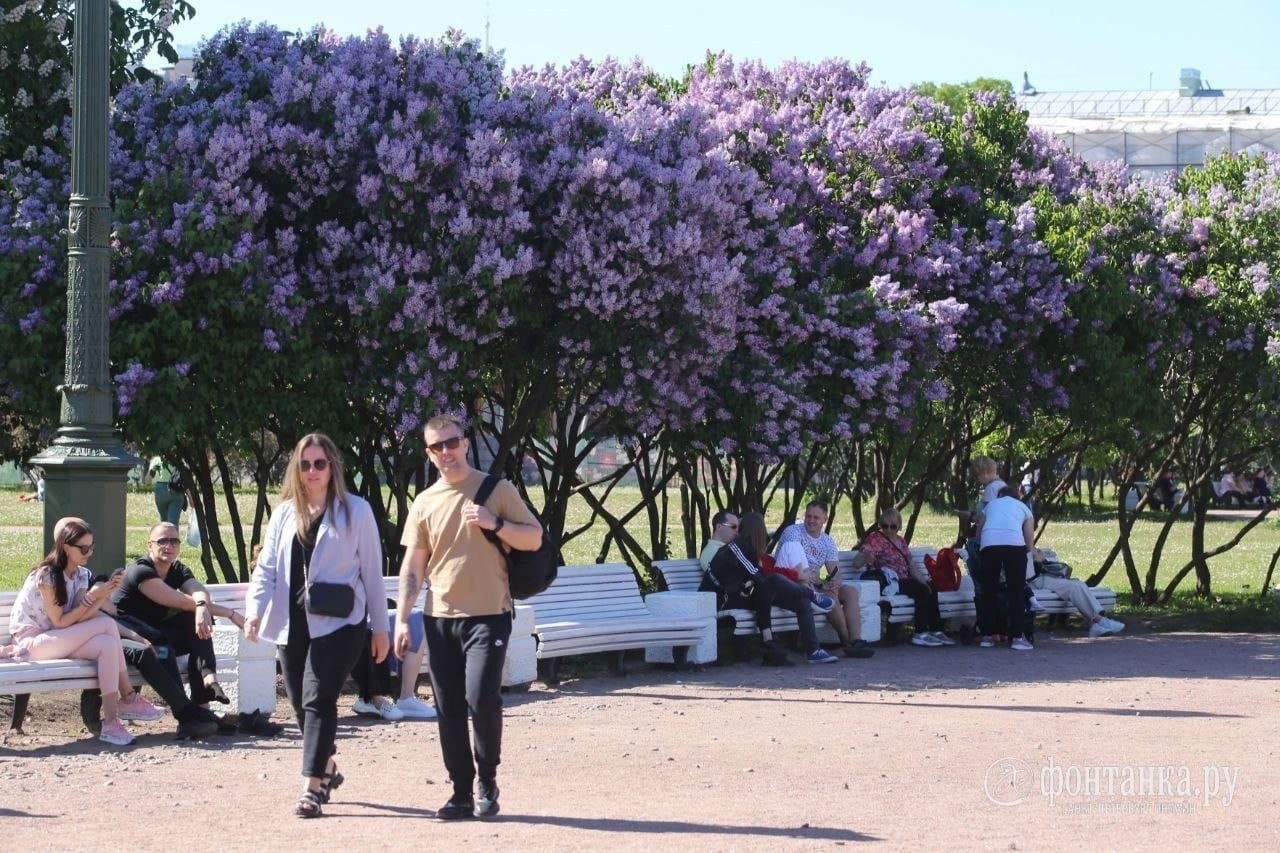 Марсово поле в санкт петербурге фото сирень