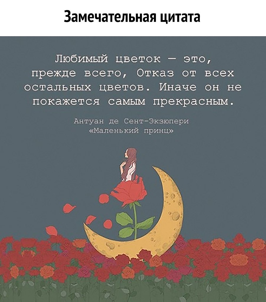 Прежде всего предложение. Любимый цветок это прежде всего. Маленький принц и роза цитаты. Любимый цветок это прежде всего отказ от всех. Любимый цветок маленького принца.