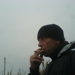 , 55 , 