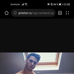 , 19 , 