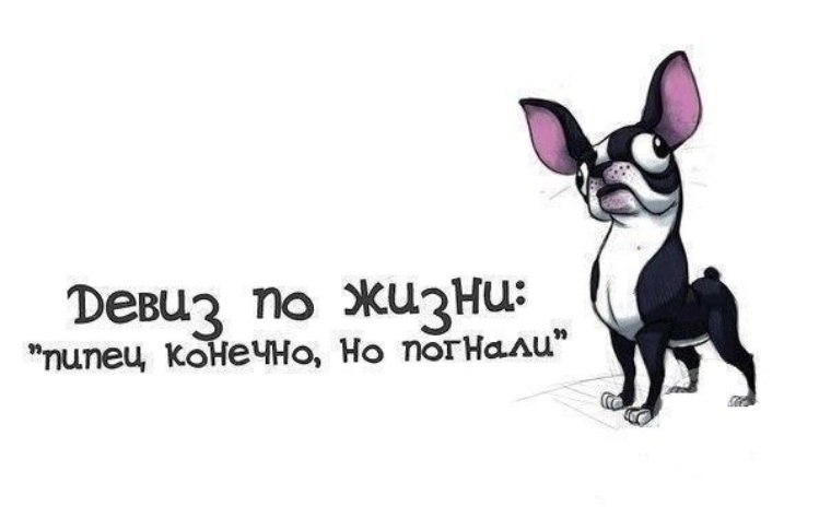 Конечно работаем. Девиз по жизни с юмором. Девиз по жизни смешно. Вдохновляющие девизы по жизни. Девиз по жизни пипец конечно но погнали.