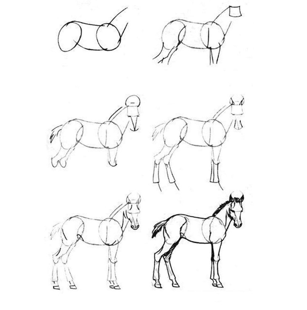 Лошадь рисунок для детей простой