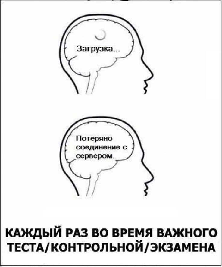 Потерянный какое время. Приколы про экзамены. Шутки про экзамены. Смешные шутки про мозг. Мозг прикол.