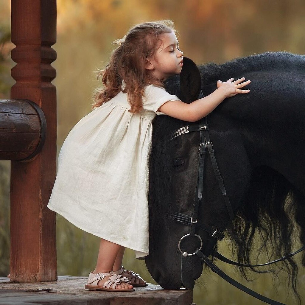 Картинки на статус в ватсап красивые. Девушка обнимает лошадь. Фотосессия с лошадьми. Человек обнимает лошадь. Конь и маленькая девочка.