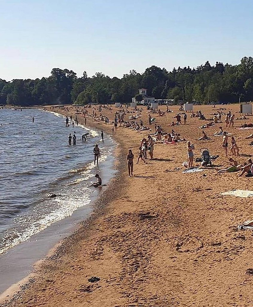 Золотой пляж в зеленогорске фото