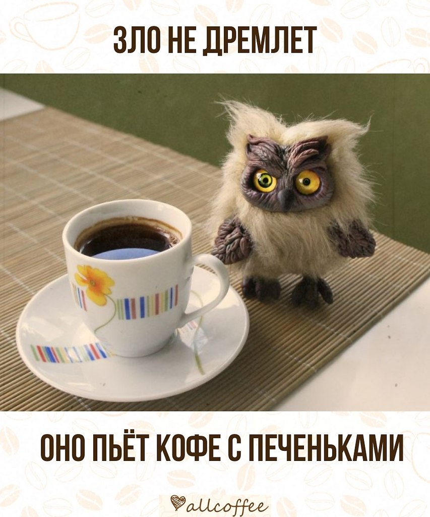 Позитивные животные и кофе