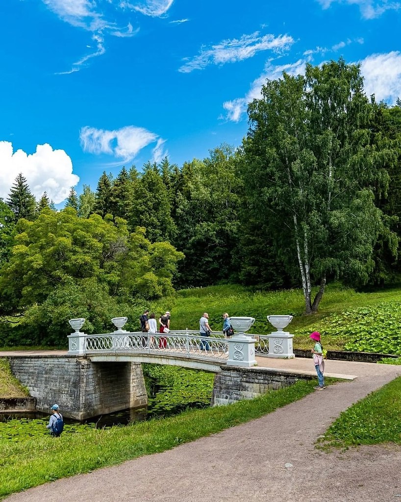 Фото павловский парк летом