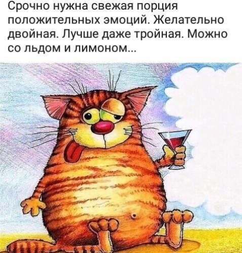   ! - 12  2022  10:58