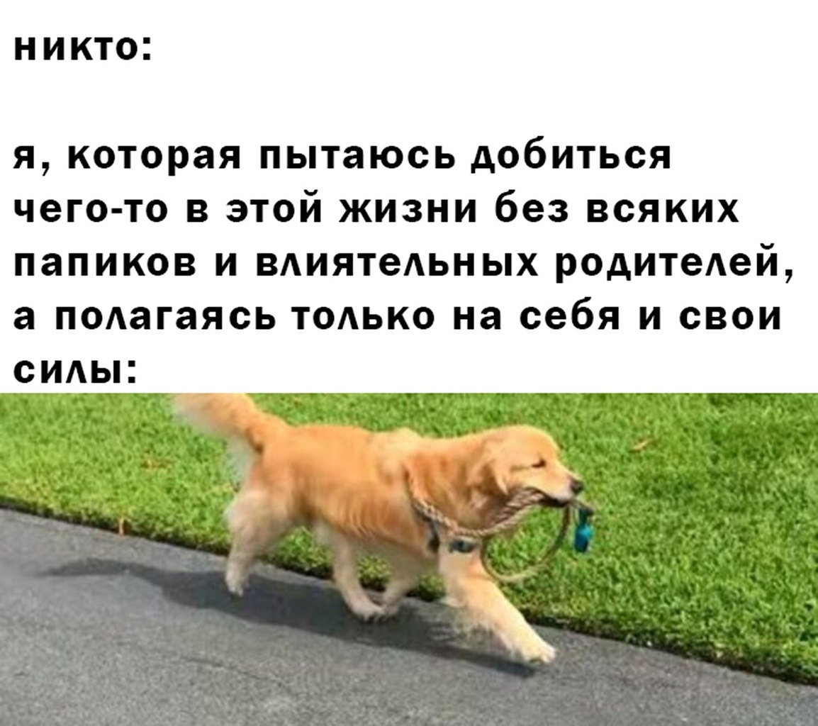 Пришло к выводу что. Институт благородных девиц ню.