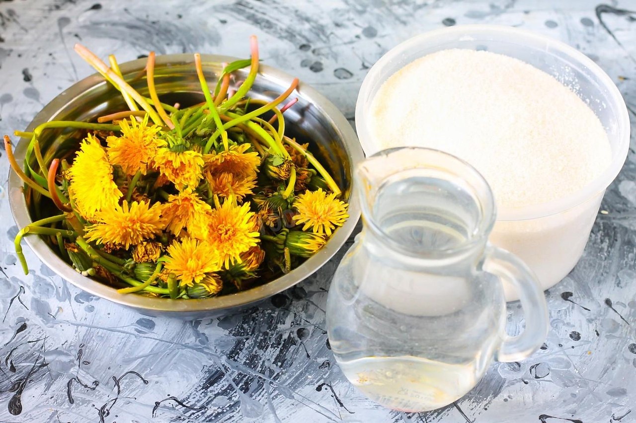 Варенье из одуванчиков рецепт приготовления с фото пошагово на 400 цветков