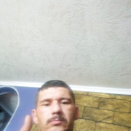 , 39 , 