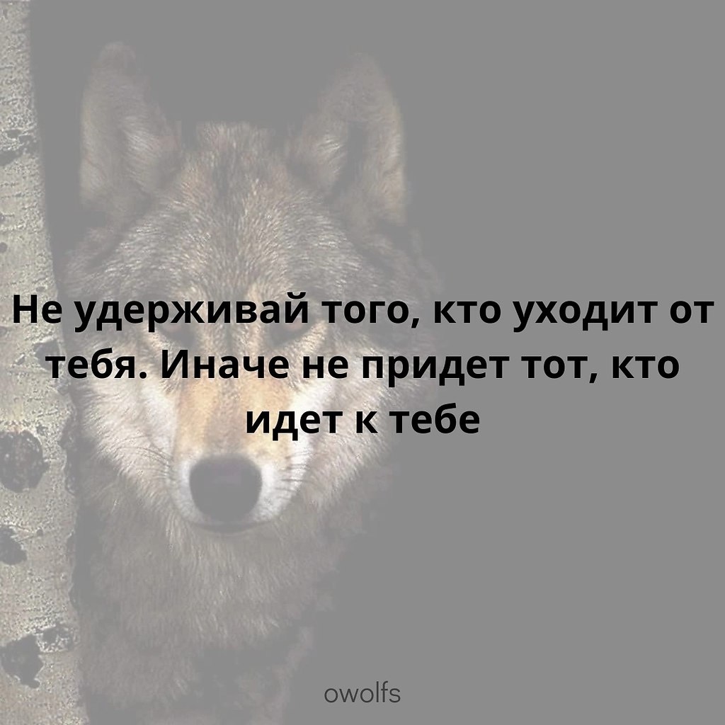 Хуже прежнего. Хуже прежнего