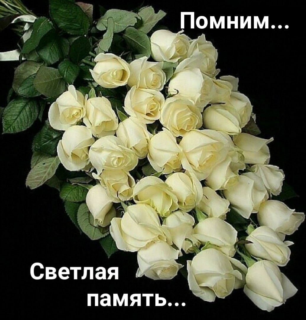 Белые розы траурные