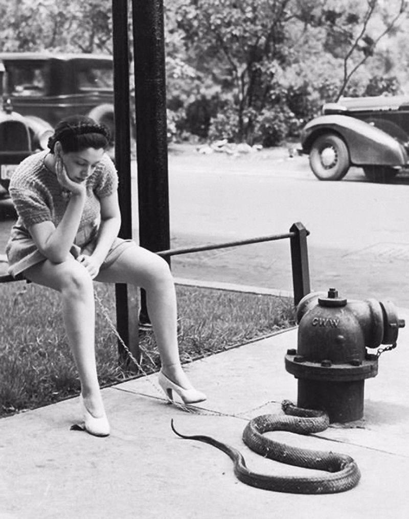 Kathryn boyd zorita