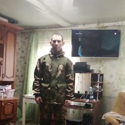 , 29, 