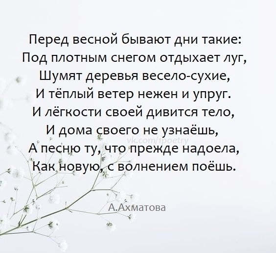 Анализ стихотворения перед весной бывают дни такие 6 класс по плану