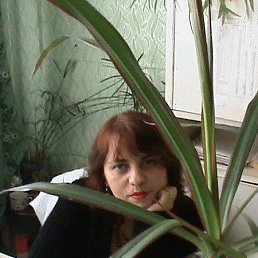 Виктория, 44 года, Донецк