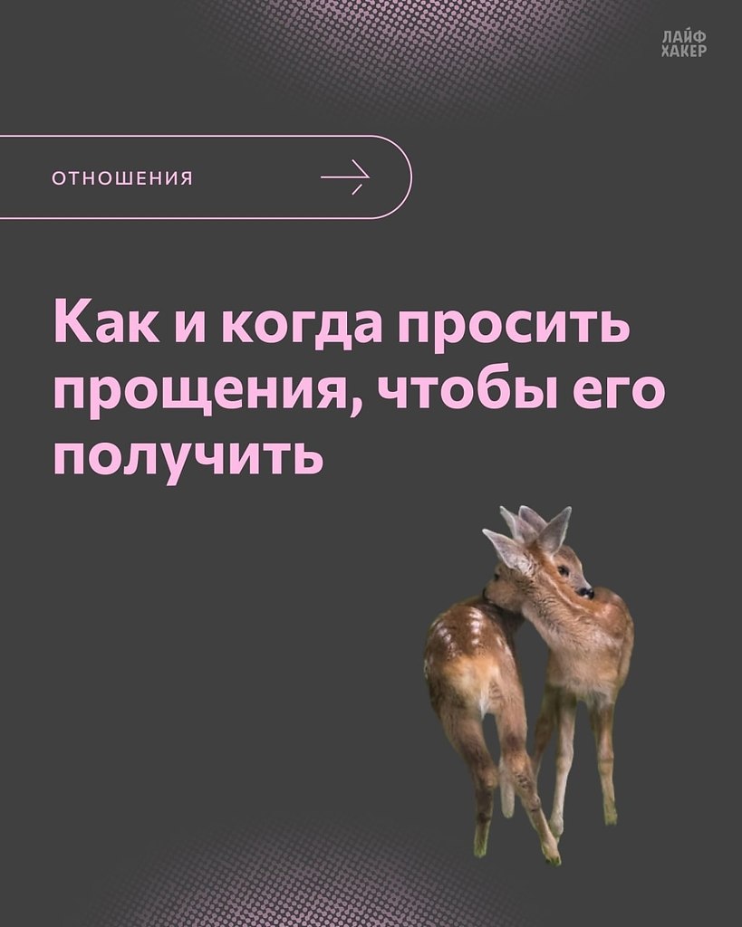 Что сделать чтобы он простил. Что сделать чтобы он простил