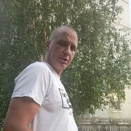 , 43 , 