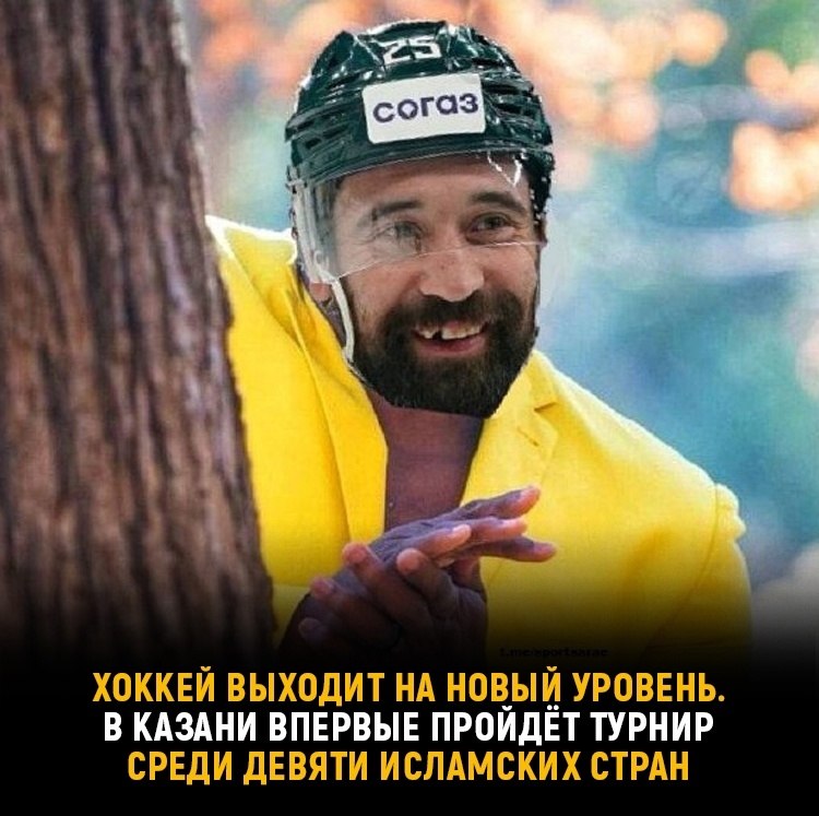 В Казани впервые в истории на хоккейной площадке сразятся 13 исламских ...