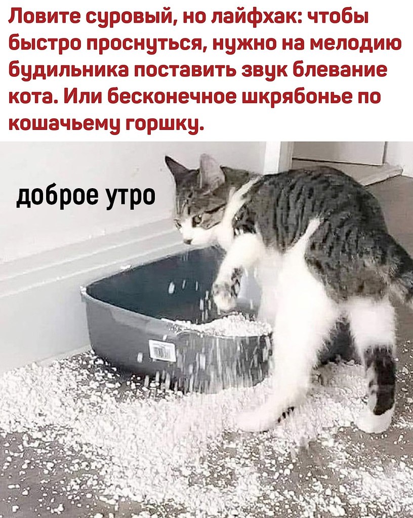 если плохой день