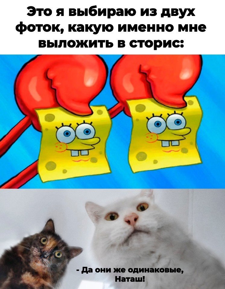 Выбери обычный