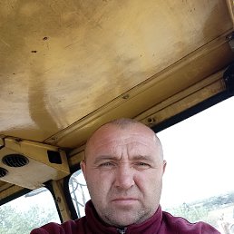 , 53 , 