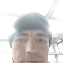 Михаил, 42 года, Казань