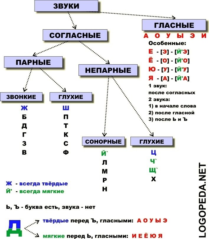 Схема последовательности появления в речи ребенка звуков родного языка