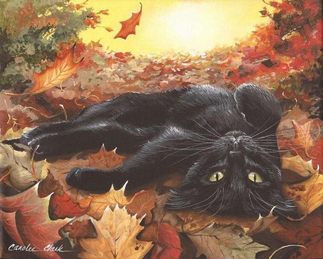 Черная кошка осенью