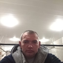 Дмитрий, 36 лет, Запорожье