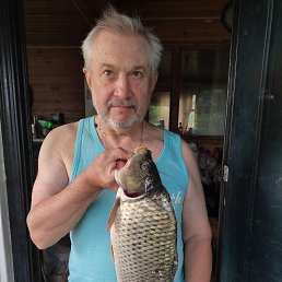 , 62 , 