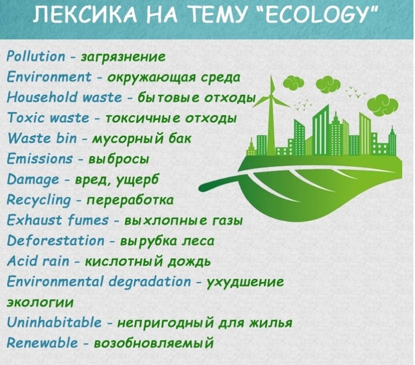 Экология перевод на английский