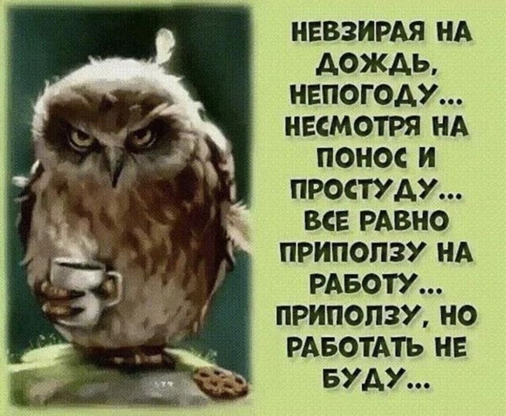 Приползу с работы чисто приберу приготовлю что то лягу и умру картинки